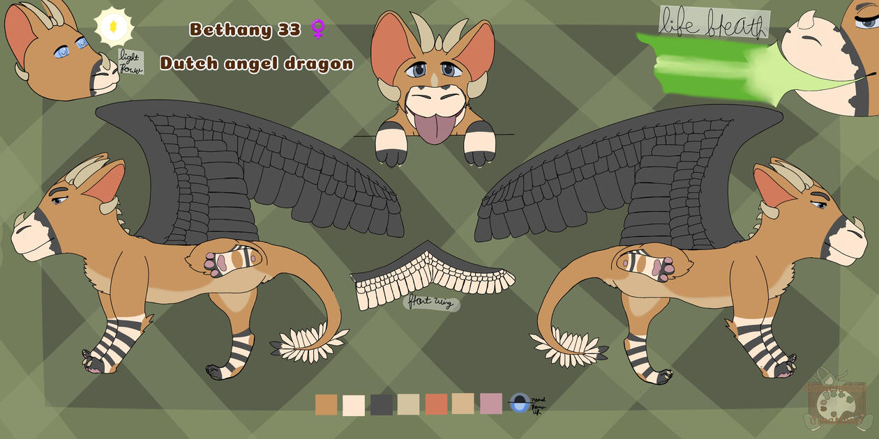 Feral ref sheet Feral ref sheet